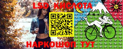 прущие крисы Кунгур