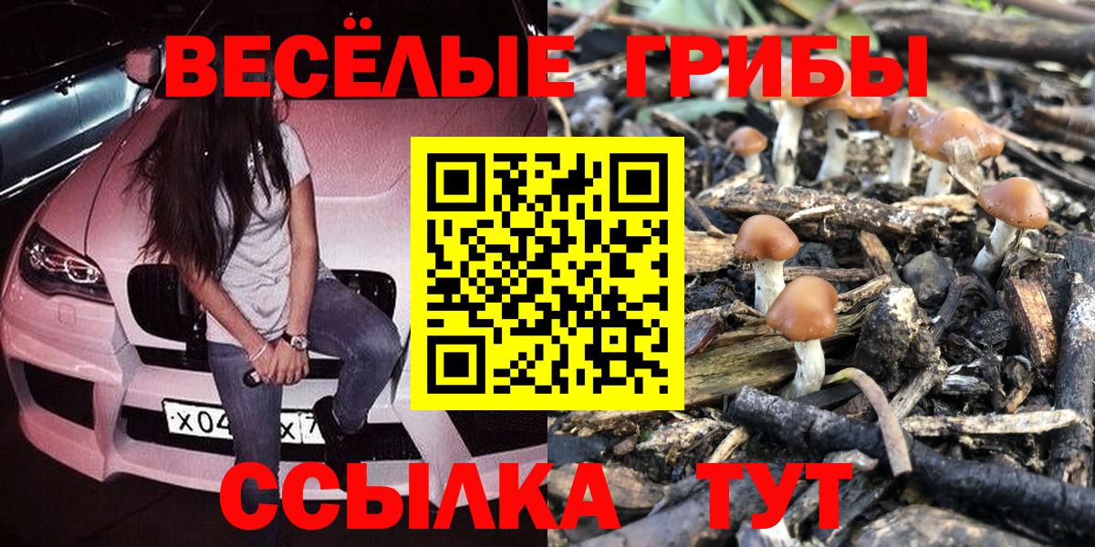 Галлюциногенные грибы прущие грибы Дмитров