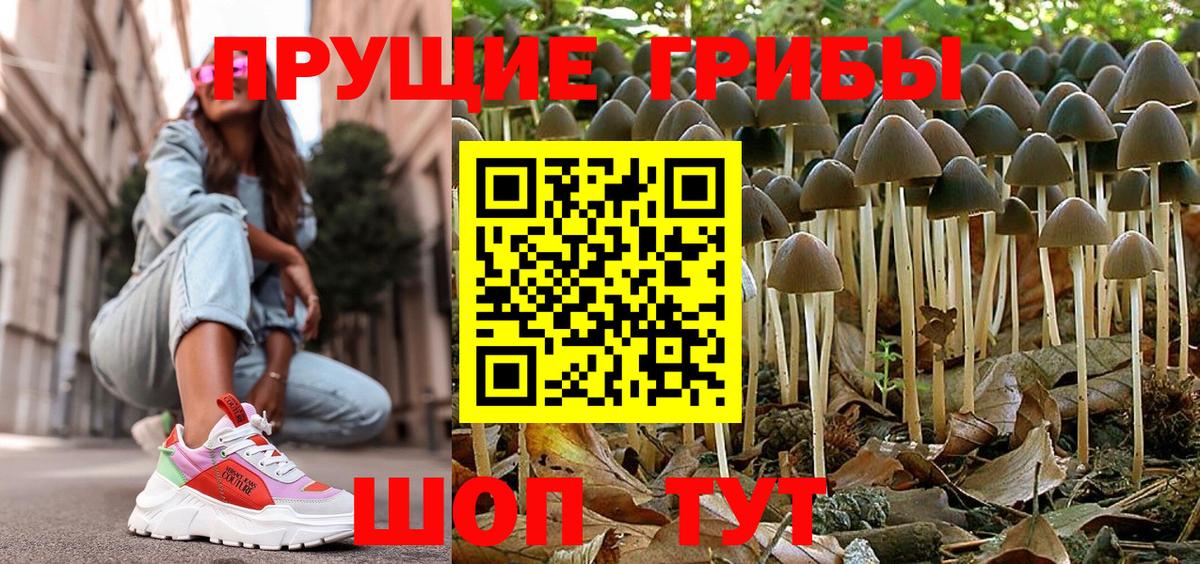 наркота  Галлюциногенные грибы мухоморы  Вход с VPN  Дмитров 